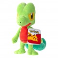 JAZWARES POKEMON ΛΟΥΤΡΙΝΟ PLUSH TREECKO W15 (20 ΕΚΑΤΟΣΤΑ) JW095217-W15