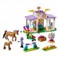 LEGO HORSE TRAINING 41746