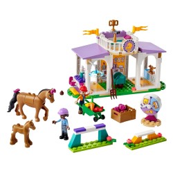 LEGO HORSE TRAINING 41746