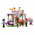 LEGO HORSE TRAINING 41746