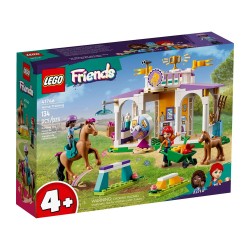 LEGO HORSE TRAINING 41746