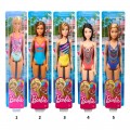 MATTEL BARBIE BEACH (5 ΣΧΕΔΙΑ) DWJ99