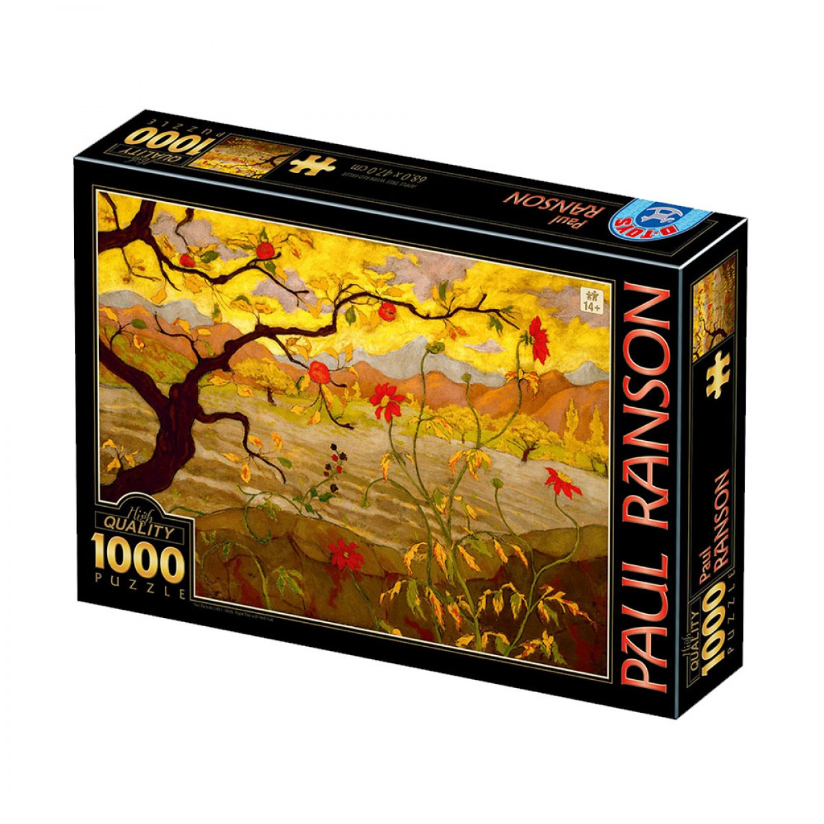 REMOUNDO PUZZLE PAUL RANSON 77431RA01 (1000ΤΜΧ.)