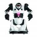 ΙΔΈΑ MINI RC ROBOSAPIEN 3885